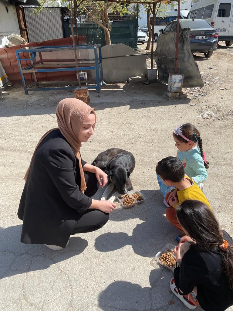 Dünya Sokak Hayvanları Günü