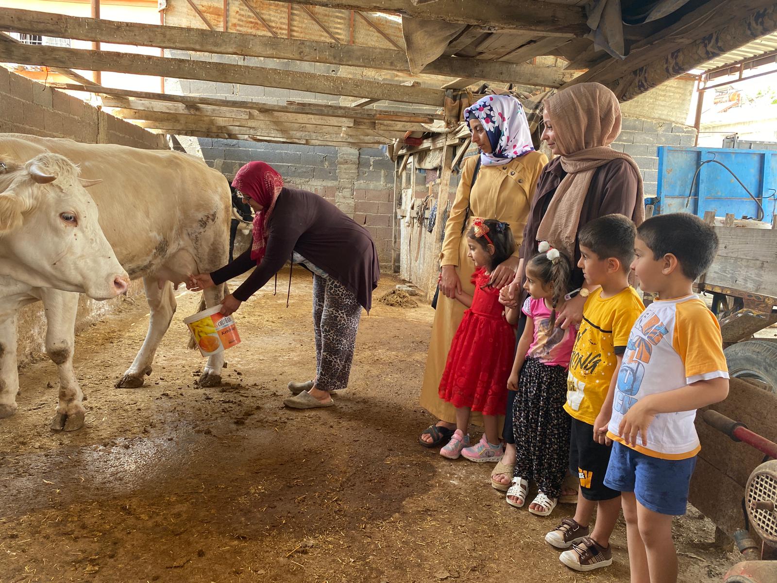 Dünya Süt Günü Etkinliği